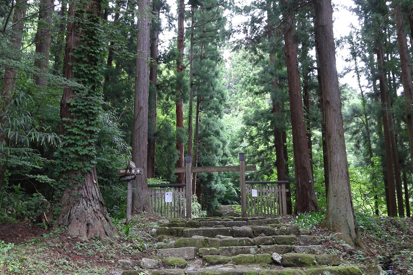 🏯 아이즈 번주 마쓰다이라 가문 묘소 (아이즈한슈 마쓰다이라케 보쇼) 이미지 8